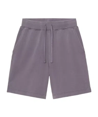 Carhartt Womens Hoggard Sweat Short In Purple