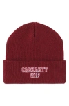 Carhartt Work In Progress Alumni Beanie In Red