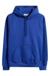 Carhartt Work In Progress Chase Fleece Hoodie In Blue