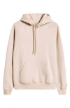 Carhartt Work In Progress Chase Fleece Hoodie In Neutral