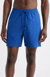 Carhartt Work In Progress Chase Swim Trunks In Blue