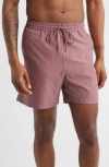 Carhartt Work In Progress Chase Swim Trunks In Purple