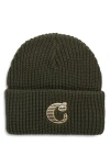 Carhartt Work In Progress Cold World Beanie In Green