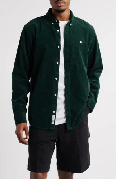 Carhartt Work In Progress Madison Cotton Corduroy Button-down Shirt In Green