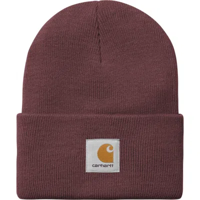 Carhartt Work In Progress Watch Beanie In Burgundy