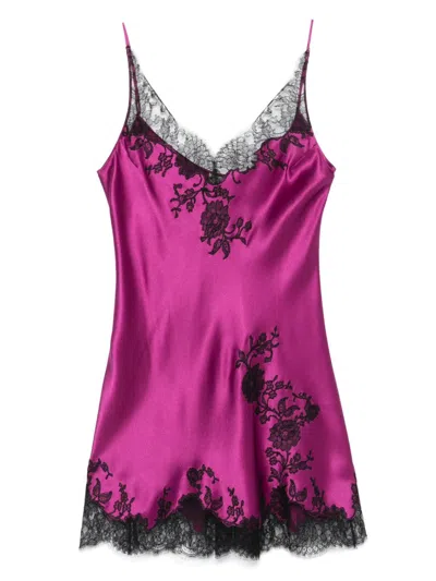 Carine Gilson Lace-detail Slip Dress In Purple