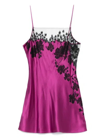 Carine Gilson Lace-detail Slip Dress In Purple