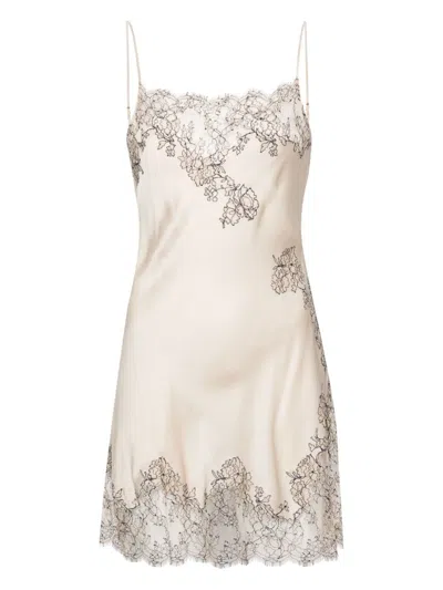 Carine Gilson Calais-caudry Lace Slip Dress In Neutrals
