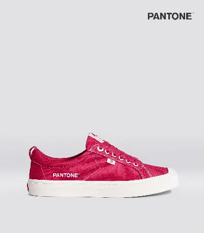 Cariuma Oca Low Trouserone Viva Magenta Canvas Contrast Thread Trainer Men
