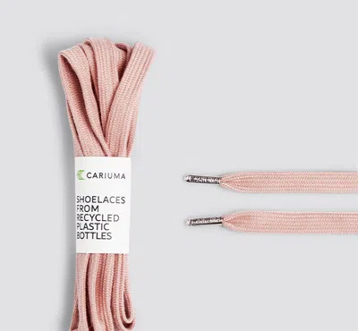 Cariuma Shoe Lace Classic Rose With H Silver Tip In Rose H Silver Tip