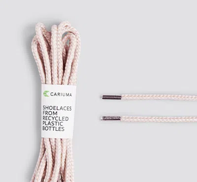 Cariuma Shoe Lace Classic Sand And Blush With Gun Metal Tip In Sands And Blush Light Gun Metal Tip