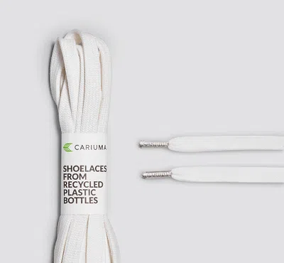 Cariuma Shoe Lace Off White With H Silver Tip In Off White H Silver Tip