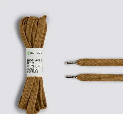 Cariuma Shoe Lace Skate Camel With H Silver Tip In Camel H Silver Tip