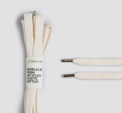 Cariuma Shoe Lace Skate High Ivory With H Silver Tip In Ivory H Silver Tip