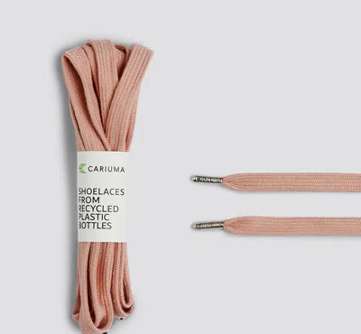Cariuma Shoe Lace Skate Rose With H Silver Tip In Rose H Silver Tip