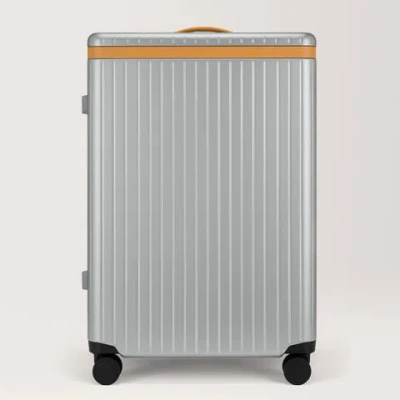 Carl Friedrik The Large Check-in In Silver