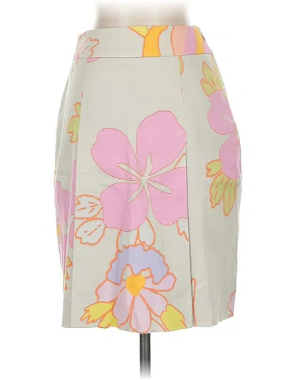 Pre-owned Carlisle Casual Skirt In Gray