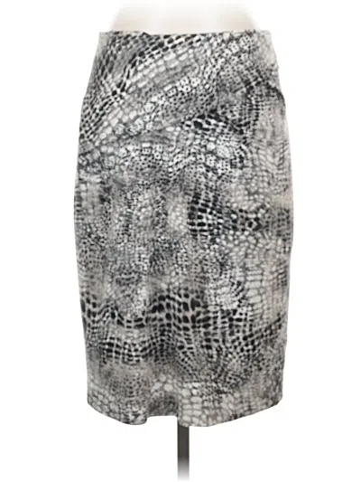 Pre-owned Carlisle Casual Skirt In Gray