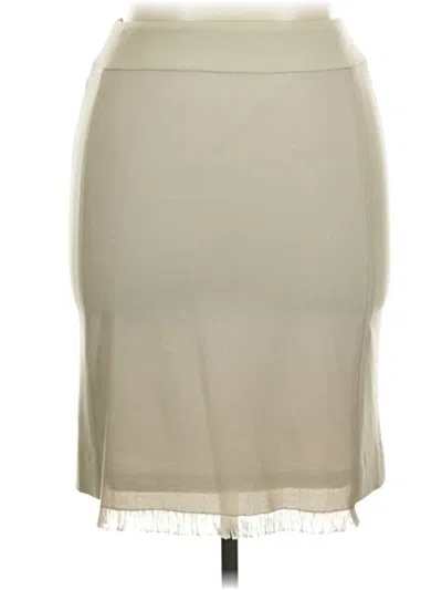 Pre-owned Carlisle Casual Skirt In Silver