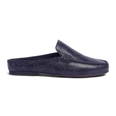 CARLOS BY CARLOS SANTANA HECTOR PYTHON MULE