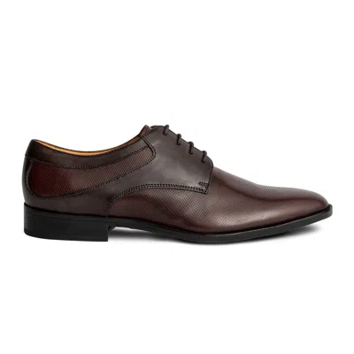 Carlos By Carlos Santana Power Print Derby In Brown