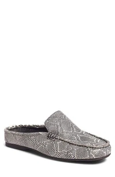 Carlos Santana Hector Snake Embossed Leather Mule In White/black