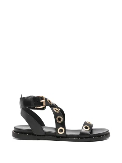 Carmela Eyelet-embellished Cross-strap Sandals In Black