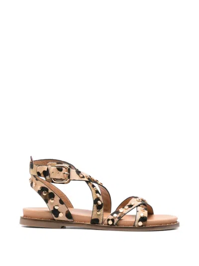 Carmela Leopard-print Stud-embellished Sandals In Brown