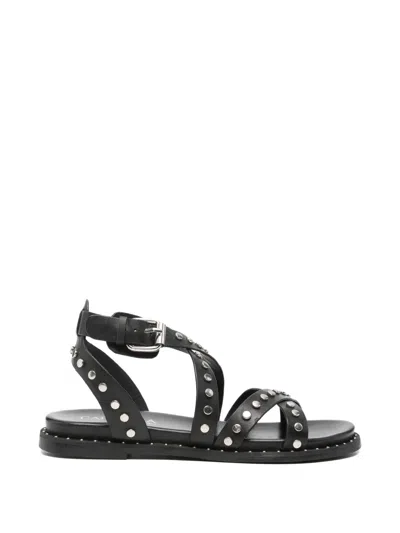 Carmela Stud-embellished Leather Sandals In Black
