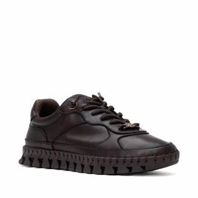 Carmela Women's Leather Lace-up Sneakers In Brown In Black