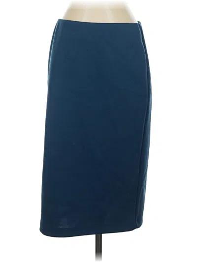 Pre-owned Carmen Marc Valvo Casual Skirt In Blue