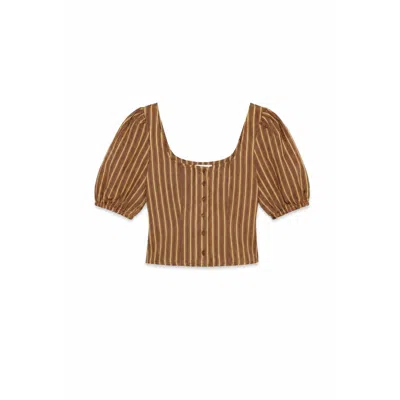 Carmen Says Women's Green Striped Zafira Pink Print Top In Brown