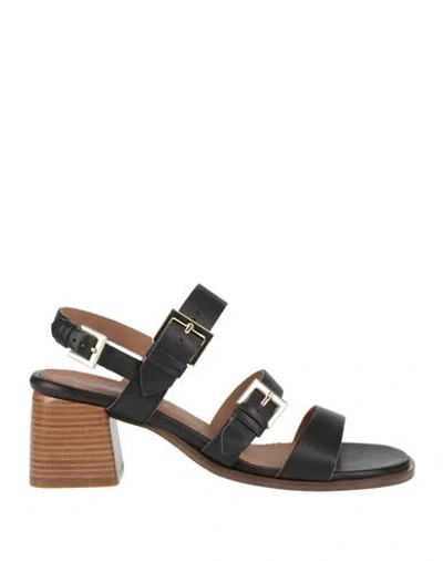 Carmens Woman Sandals Black Size 11 Leather