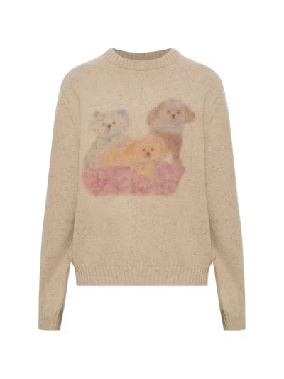 Carne Bollente Graphic-print Crew-neck Sweater In Brown