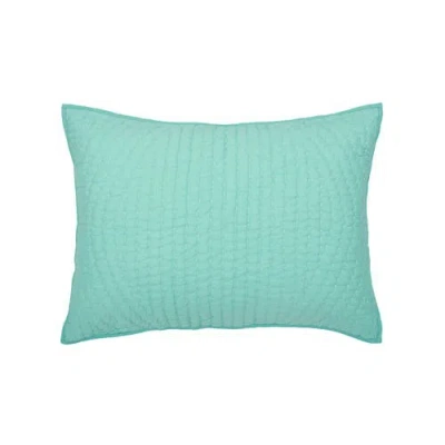 Carol & Frank James Cotton Standard Sham 20" X 26" In Blue