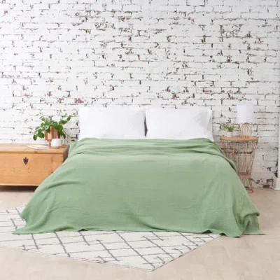Carol & Frank Ryker Succulent Queen Gauze Coverlet In Green