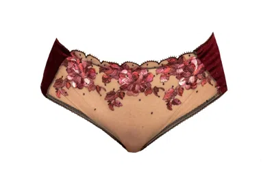 Carol Coelho Women's Blossom Embroidered Tulle & Velvet Sides Brief In Brown