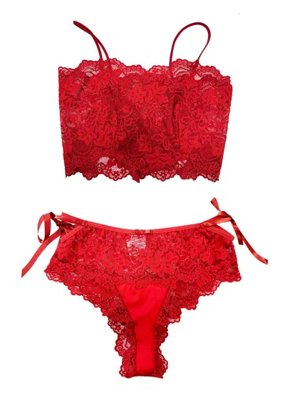 Carol Coelho Women's Butterfly Red Lace Stretch Lace Set
