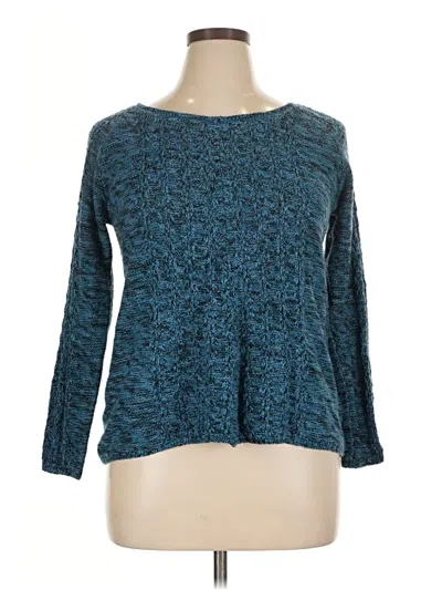 Pre-owned Carol Rose Pullover Sweater In Blue