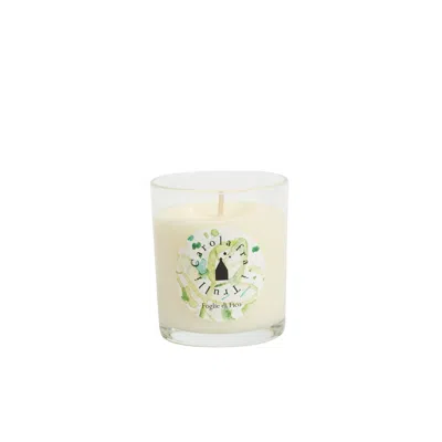 Carola Fra I Trulli Neutrals Scented Soy Wax Candle Fragrance Fig Leaves
