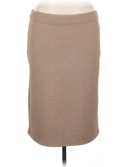 Pre-owned Carole Wren Casual Skirt In Brown