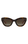 Carolina Herrera 51mm Gradient Cat Eye Sunglasses In Havana Red / Brown