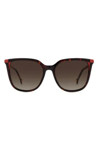 Carolina Herrera 54mm Square Sunglasses In Brown