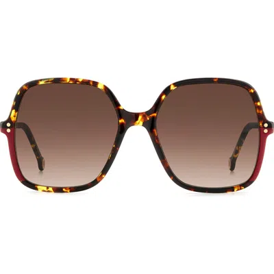Carolina Herrera 56mm Butterfly Sunglasses In Brown