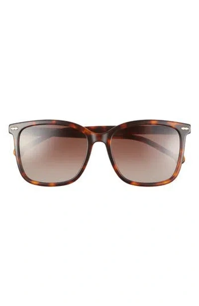 Carolina Herrera 57mm Square Sunglasses In Havana Ivory