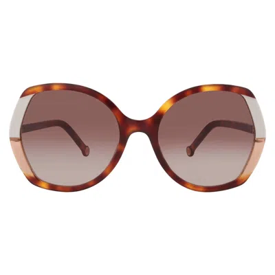 Carolina Herrera Brown Gradient Butterfly Ladies Sunglasses Ch 0051/s 0c1h/ha 58