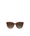 Carolina Herrera Butterfly Frame Full Rim Sunglasses In Brown
