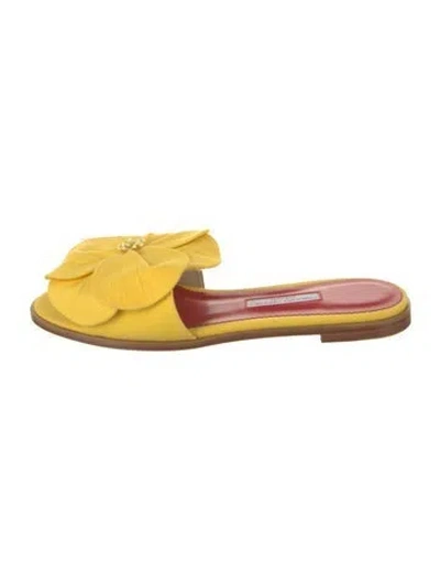 Pre-owned Carolina Herrera Canvas Beaded Accents Slides W/ Tags In Yellow