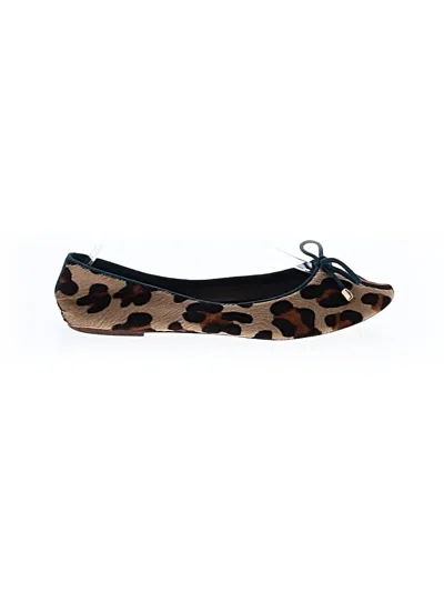 Pre-owned Carolina Herrera Flats In Brown