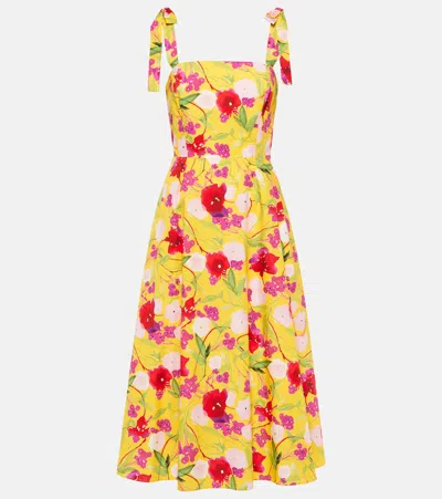 Carolina Herrera Floral Cotton Midi Dress In Multicoloured